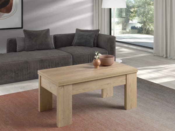 Mesa de centro convertible a mesa de comedor de 100 cm x 50 cm Ref.22120a 2377
