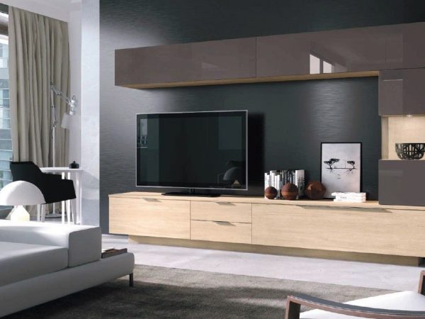 Mueble de Salón con frentes lacados Ref.704 1016